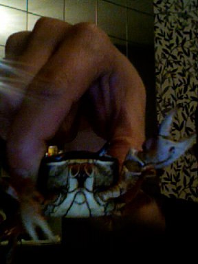 Лёха Белков | Тверь