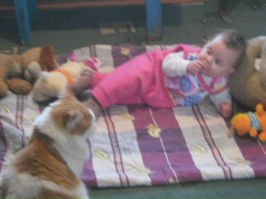 Ирина Смекалова | Каргополь