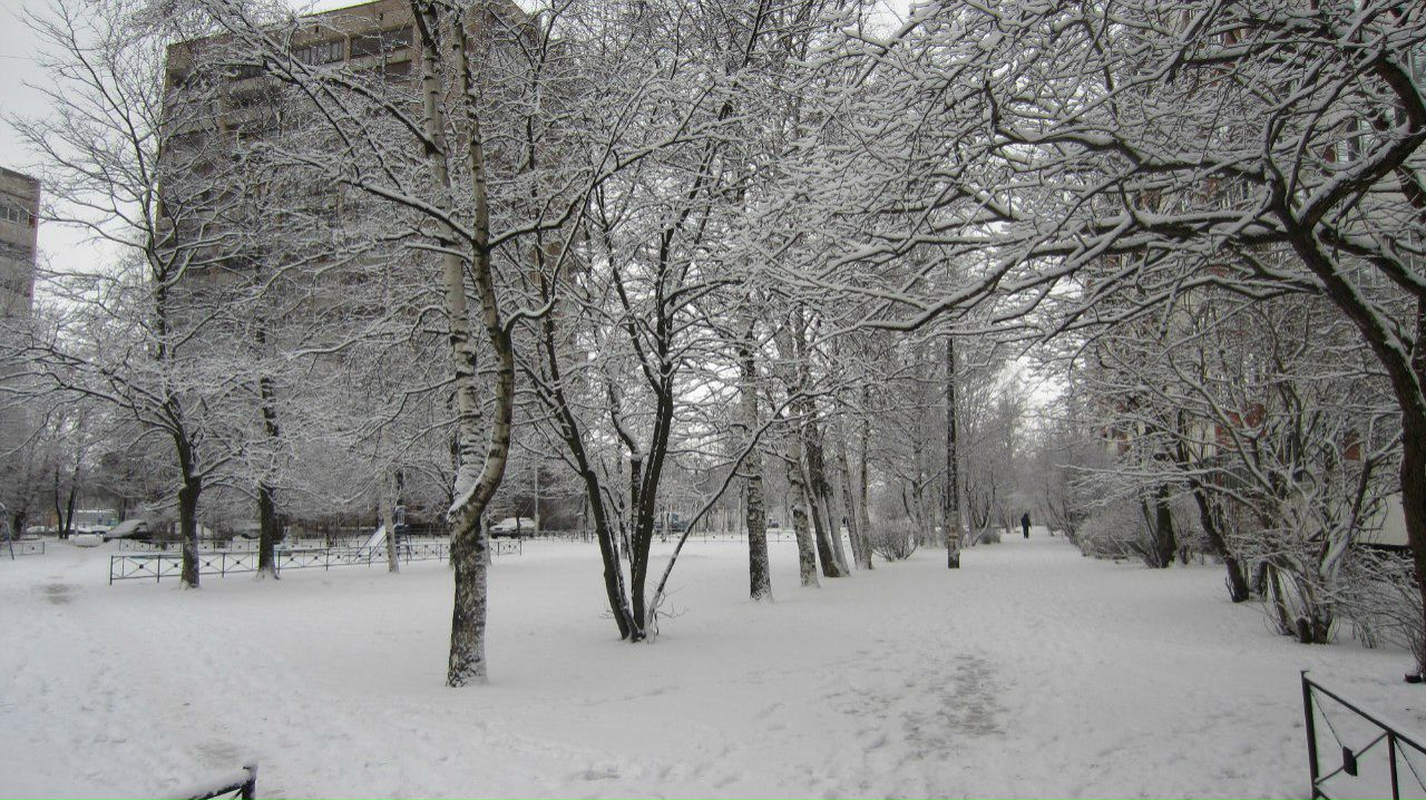 Наталья Соколова | Санкт-Петербург