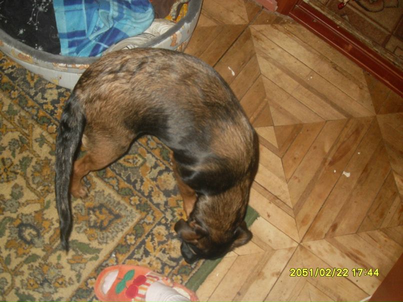 Екатерина Кузьмина | Санкт-Петербург