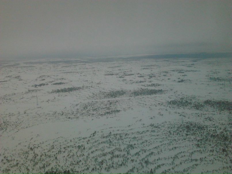 Сергей Григорьев | Омск