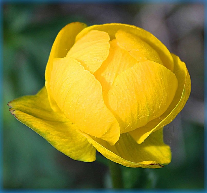 Татьяна Гринёва--Фёдорова | Новополоцк