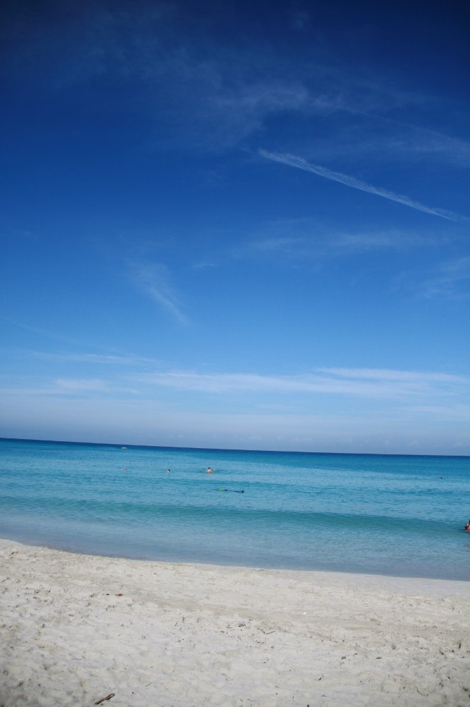 Виктория Похвальская | Москва