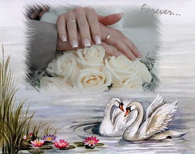 №4, Алсу Газыева №4, Алсу Газыева