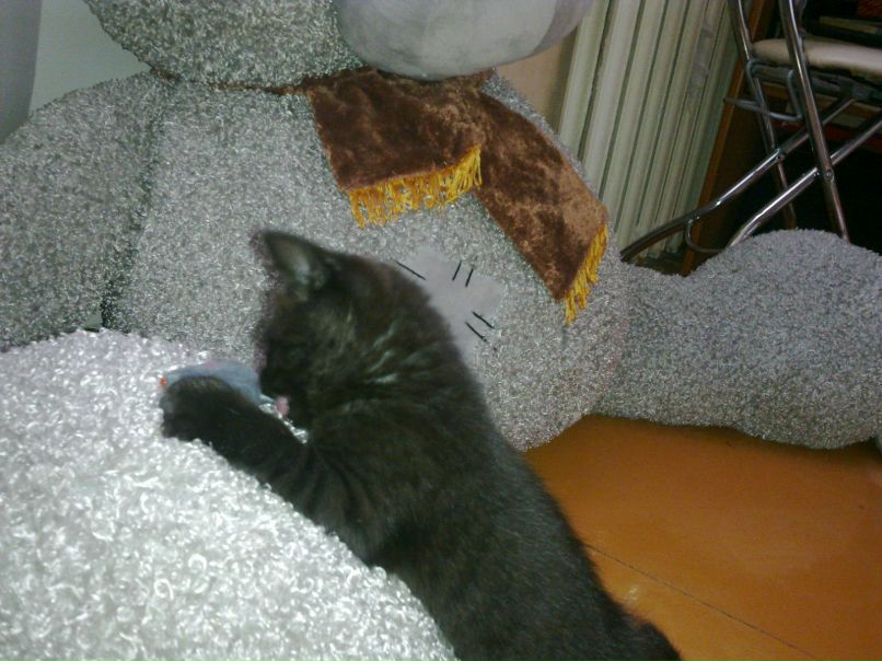 Nelka Lutfullina | Уфа