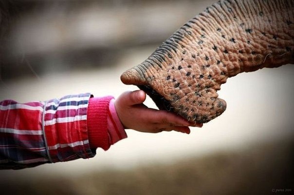 Aida Blaq ★ | Rauma