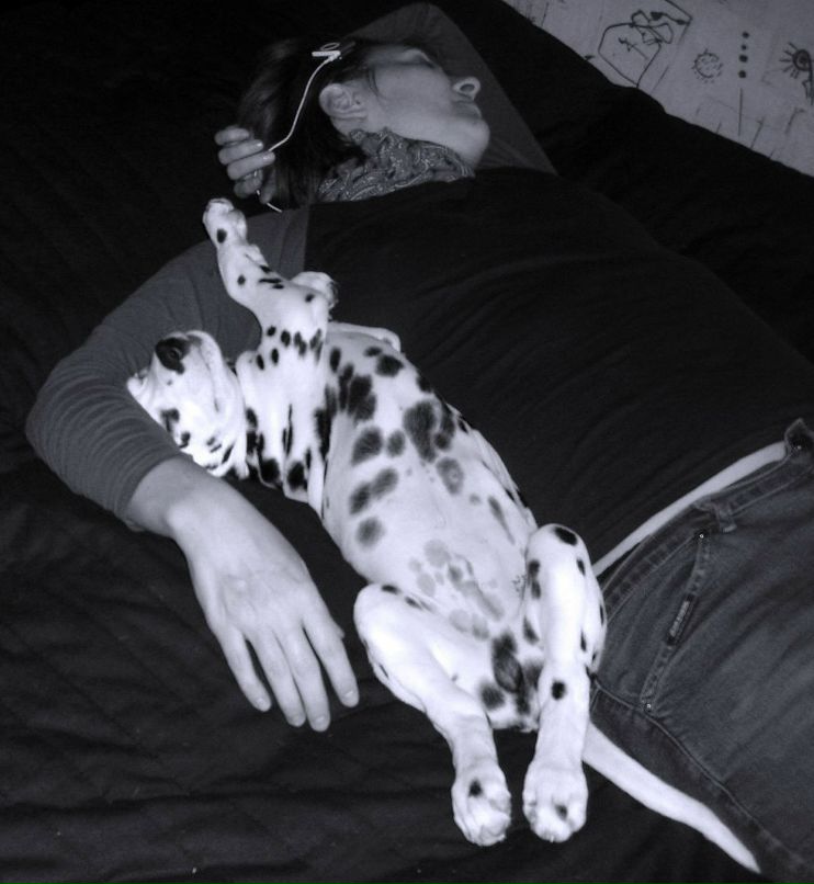 Анна Гамаюн | Москва