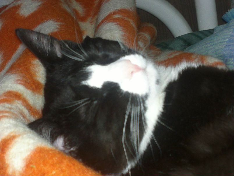 №140, Екатерина Наумова, 33 года, Рязань №140, Екатерина Наумова, 33 года, Рязань