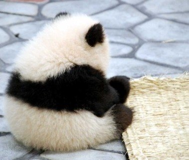 Лолочка Дубенко | Киев