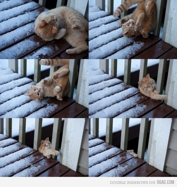 Іра Демчук | Ровно