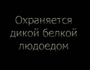 Фотография Евдокимова Анастасия