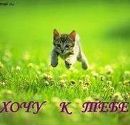 №26 Вова Голодников : профиль, фото, статус - ВКонтакте