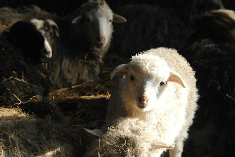 Катерина Мазуро | Кемерово