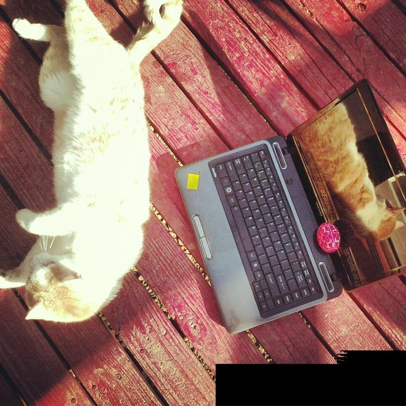 Тарас Карпюк | 