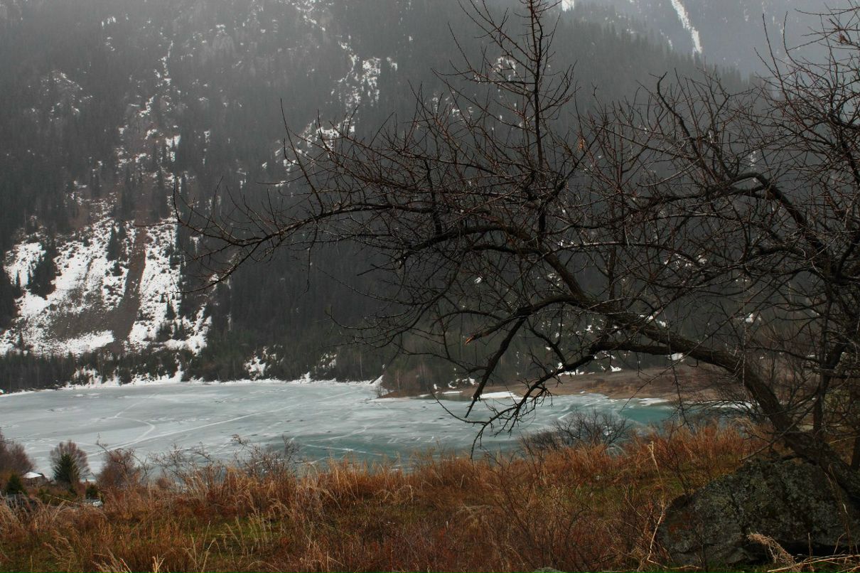 Николай Шмидт Михалыч | Алматы