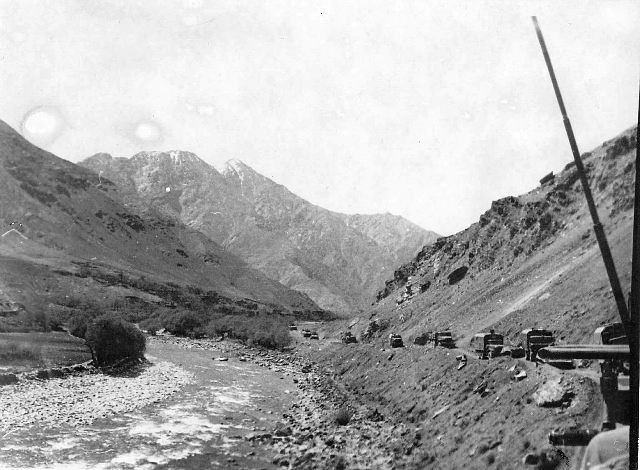 Александр Тимофеев afgan | 