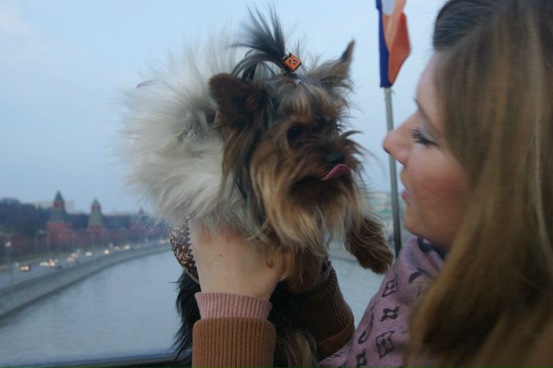 Полина Михальцова | Москва