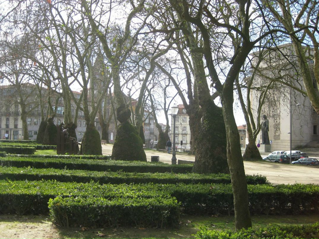 Сергей Змеев | Воронеж