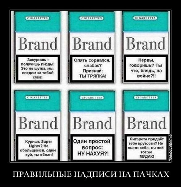 №173, Аня Малинина №173, Аня Малинина