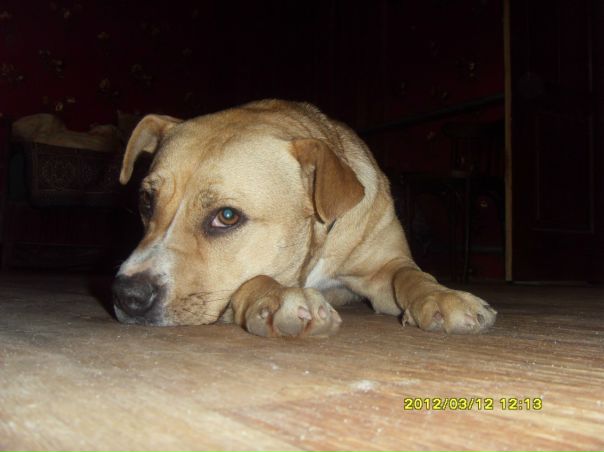 №1, Сергей Погосян serg, 34 года, Киев №1, Сергей Погосян serg, 34 года, Киев