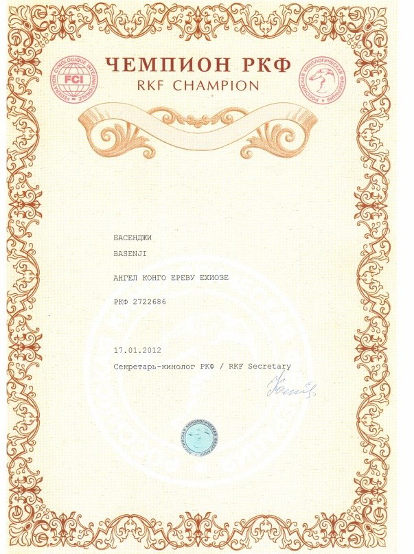 Анжела Калистратова | Архангельск