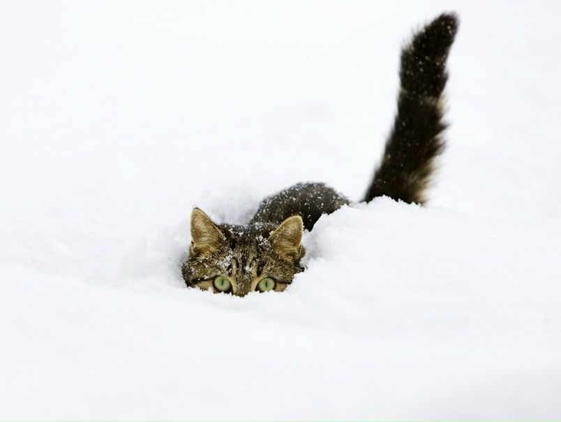 №47, Татьяна Архангельская, 38 лет, Olomouc №47, Татьяна Архангельская, 38 лет, Olomouc