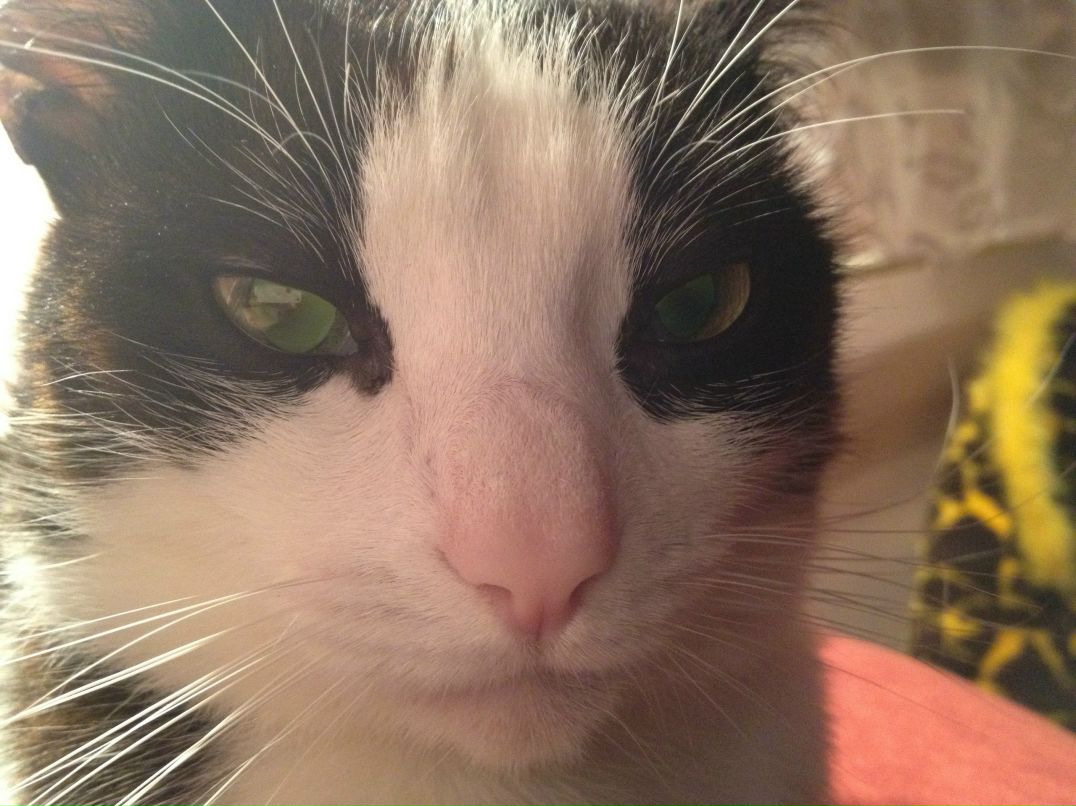 Леша Брайнин | Донецк