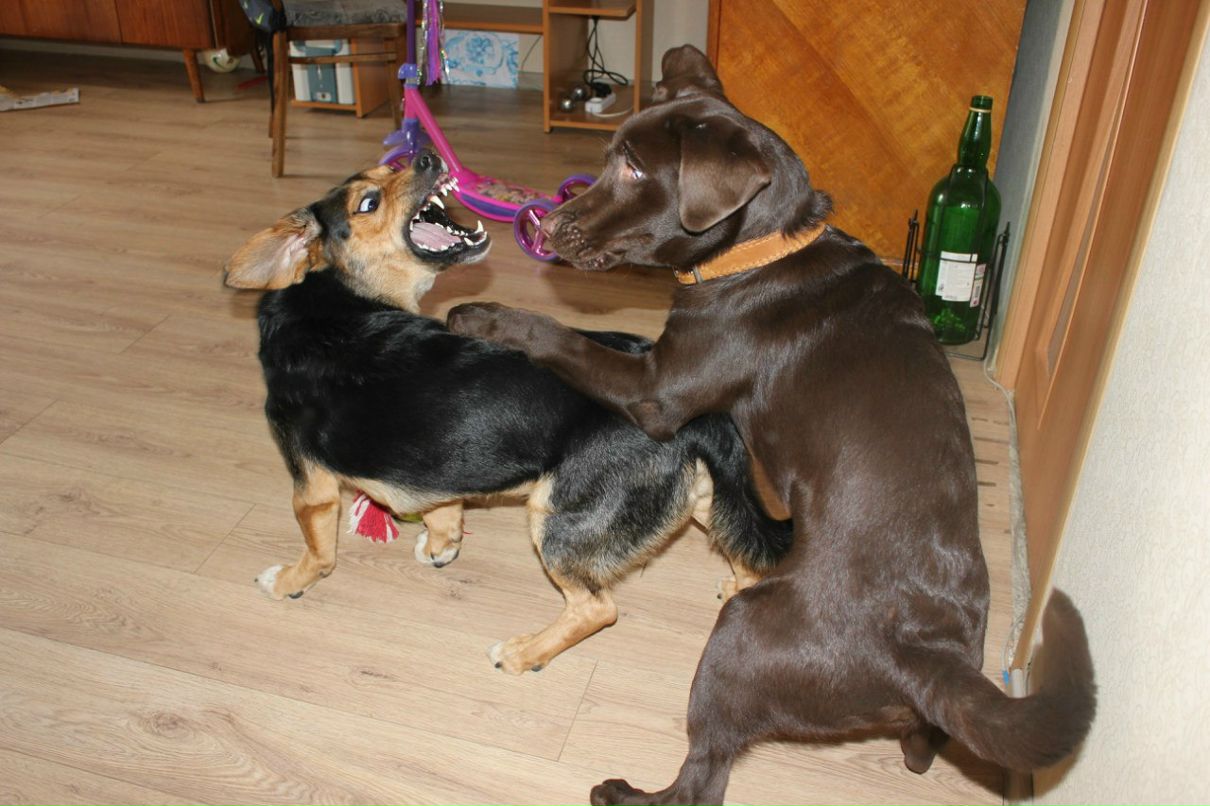 Александра Галынина | Москва