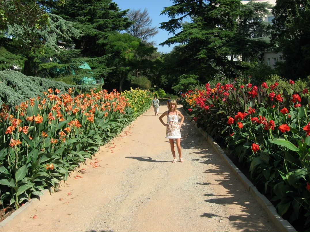 Марина Ладонько | Чернигов