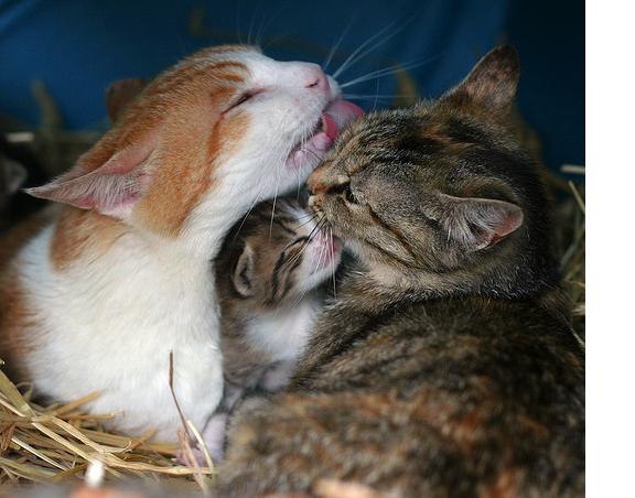 Регина Лыкова | Казань