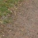 №45, Анжела Жужа, Евпатория №45, Анжела Жужа, Евпатория