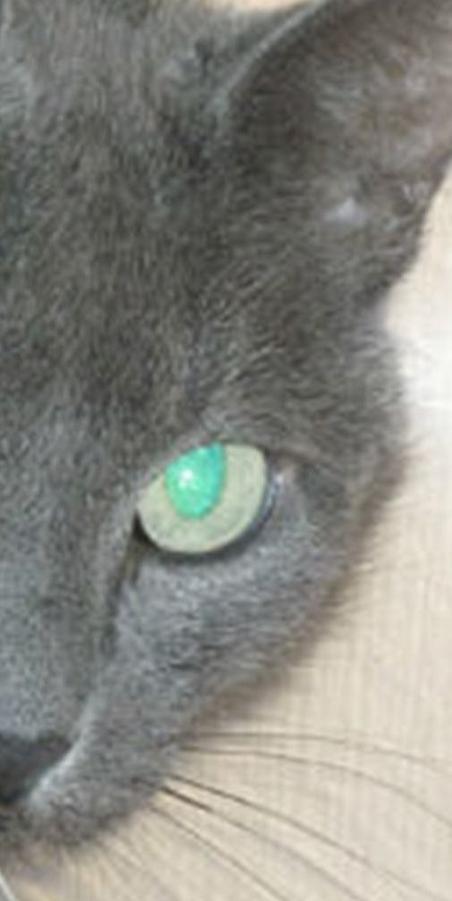 Татьяна Кунчикова | Нижний Тагил