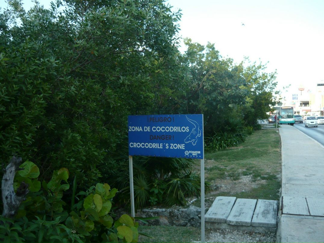 Светлана Томилина | Пермь