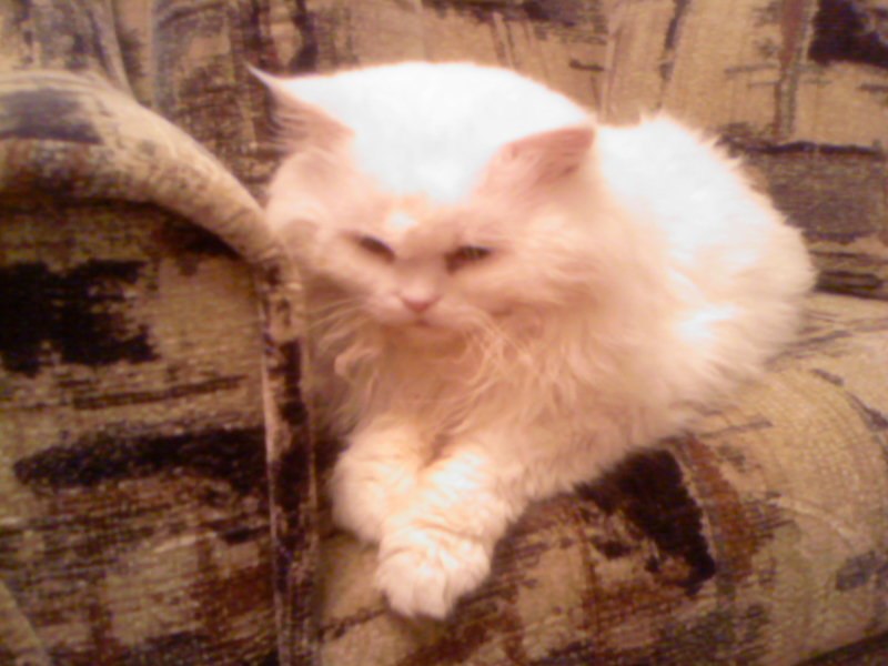 Ольга Рожкова | Стаханов