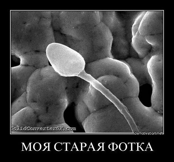 №62, Sashka Dushkevich, Минск №62, Sashka Dushkevich, Минск