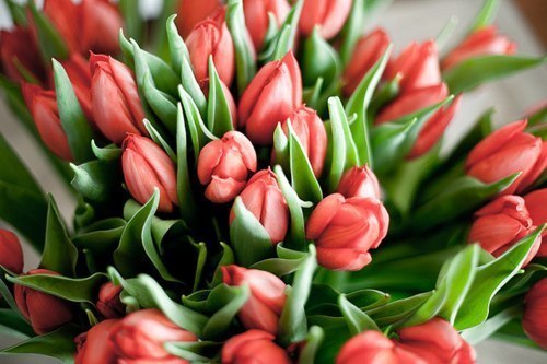 №53, Ксения Кораблина №53, Ксения Кораблина