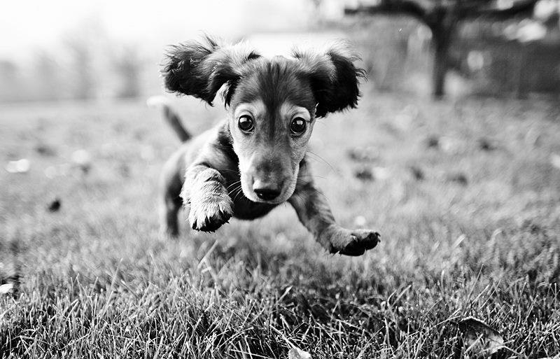 Алексей Марченко | Днепр (Днепропетровск)