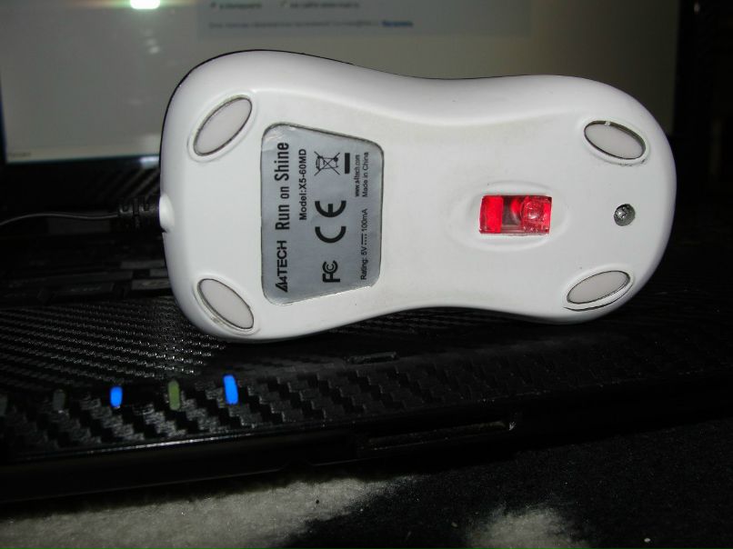 Игорь Галецкий | Черновцы