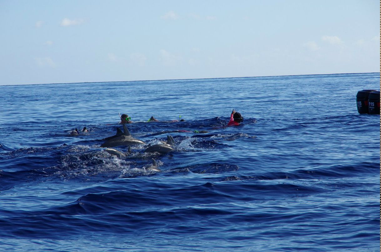 Оксана Грыцив | Харьков
