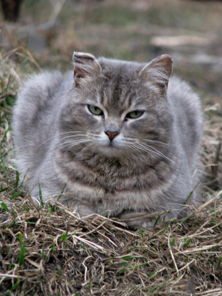 Яна Благинина-Балакина | Миасс
