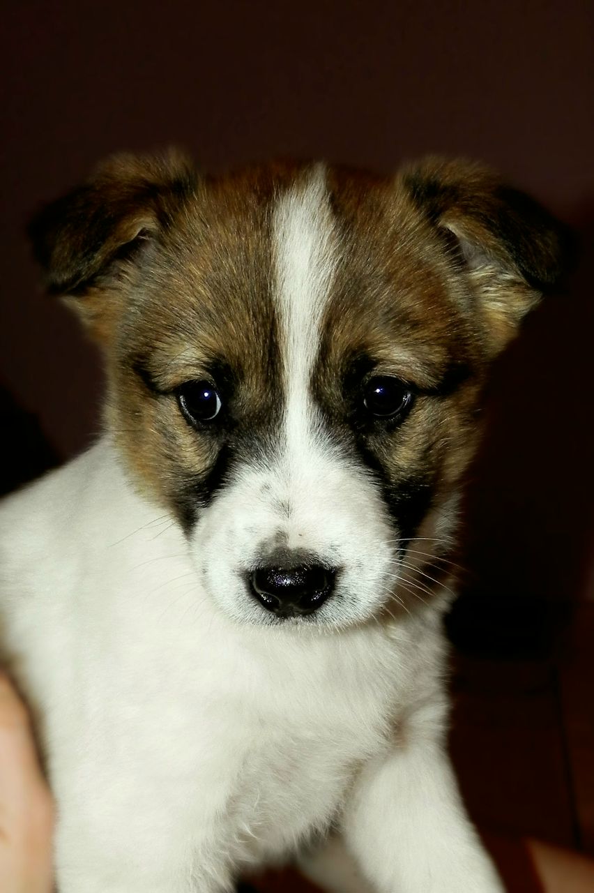 Даша Баринова | Тверь