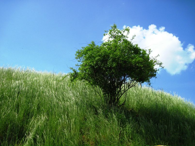 Іра Романюк | Теребовля