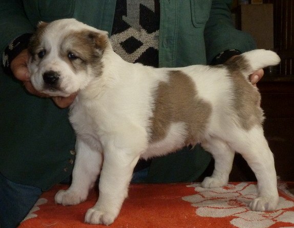 Оксана Кузьмина | Санкт-Петербург