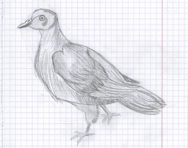 Даниил Замятин | Тольятти