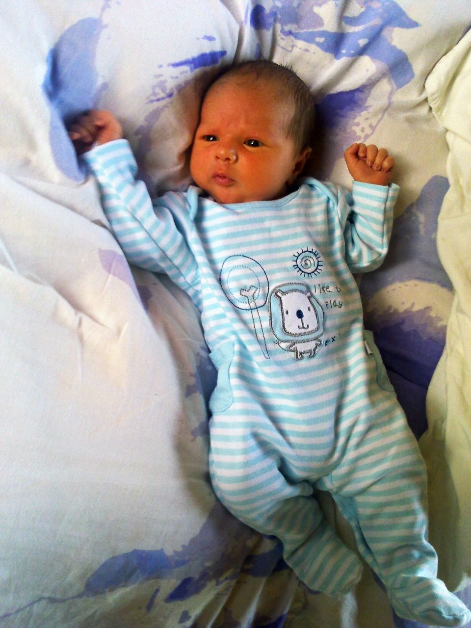 Евгения Сучкова | Zwolle