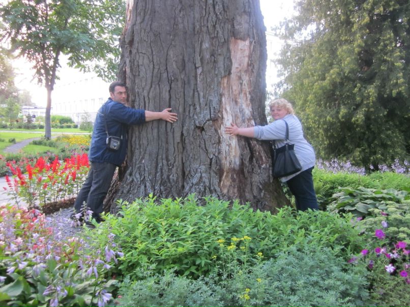 Татьяна Авакян | Киев