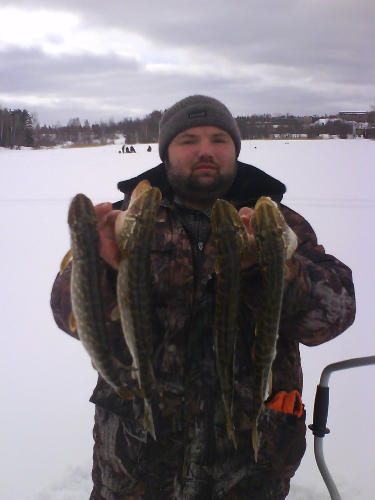 Артем Павлюк Merlin | Волоколамск