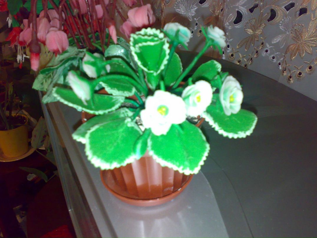 Диана Справедливая | Селидово