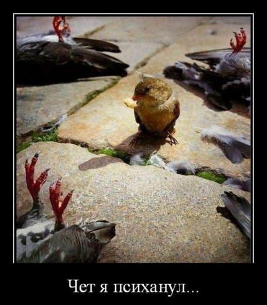 Анна Жукова | Москва