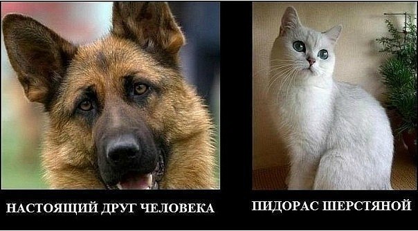 Владимир Кем | Камышин